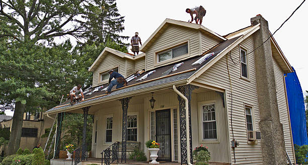 Roof Gutter Cleaning in Stokesdale, NC
